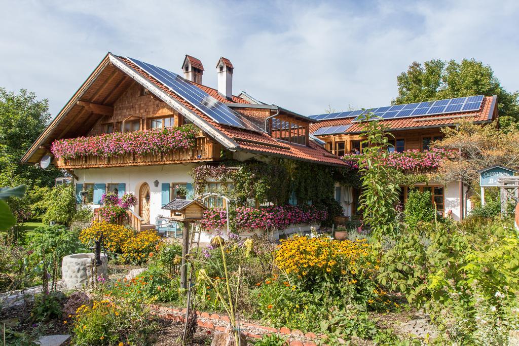 Suzanne's B&b&gardens